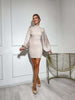 Mock Neck Puffed Satin Sleeve Body-con Mini Dress